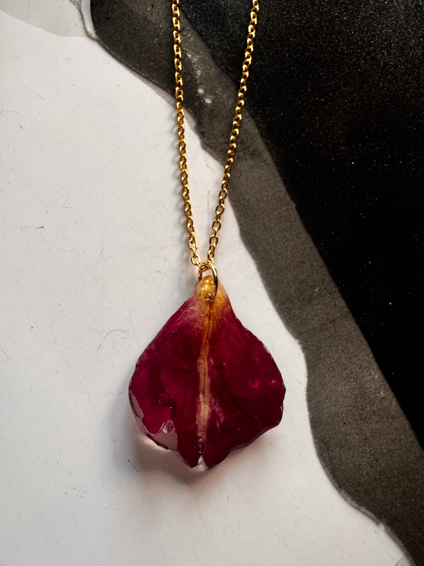 Eternal Rose Petal