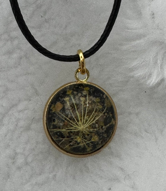 Kaw River Keepsake