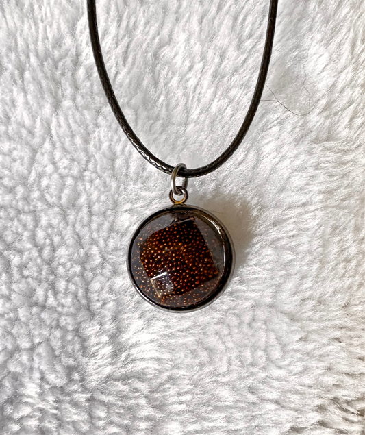 Bronze Beauty