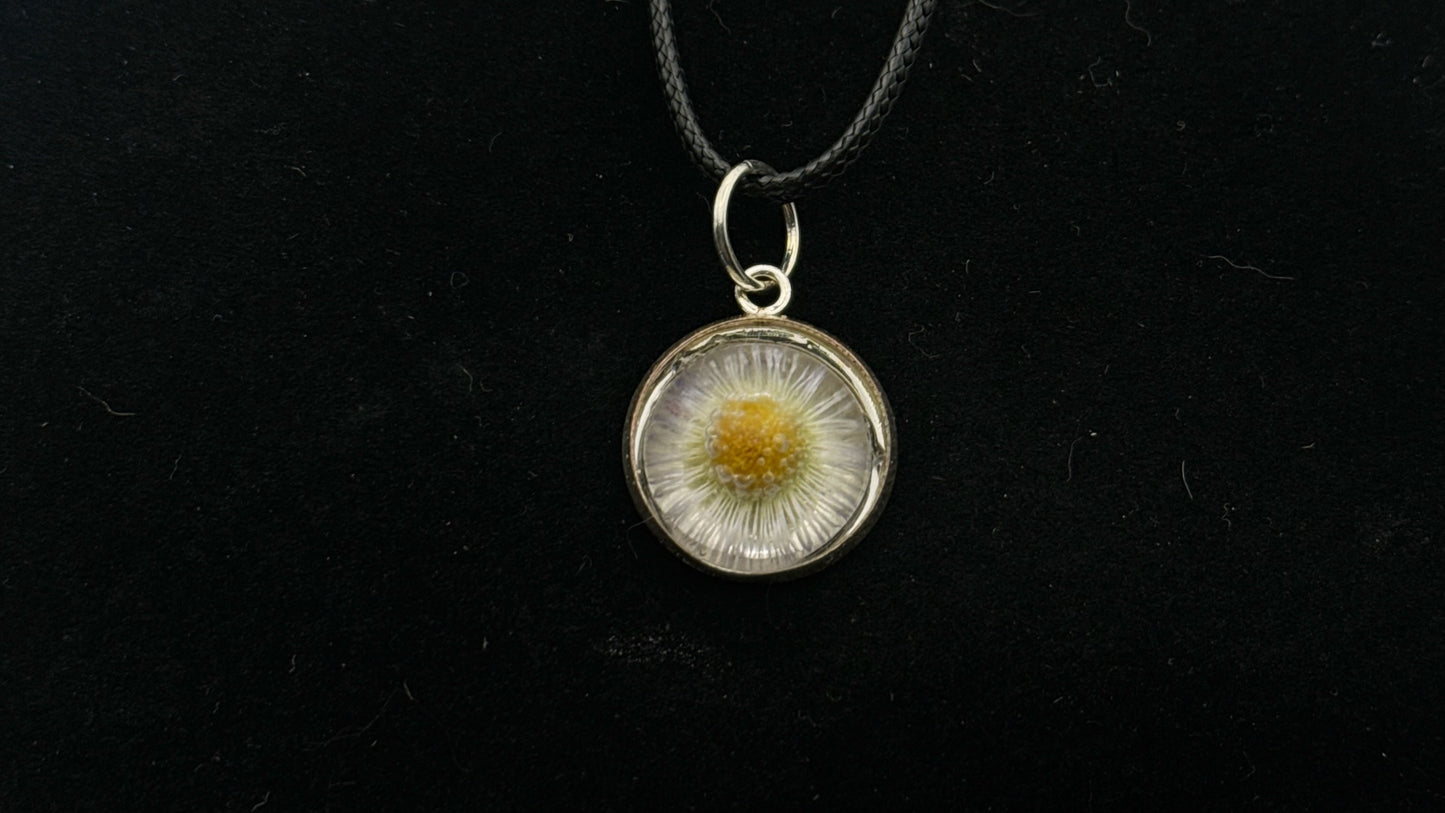 Daisy Charm