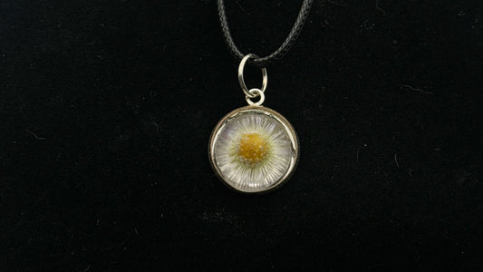 Daisy Charm