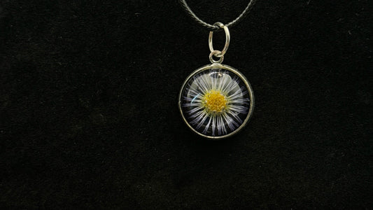 Daisy Charm-5