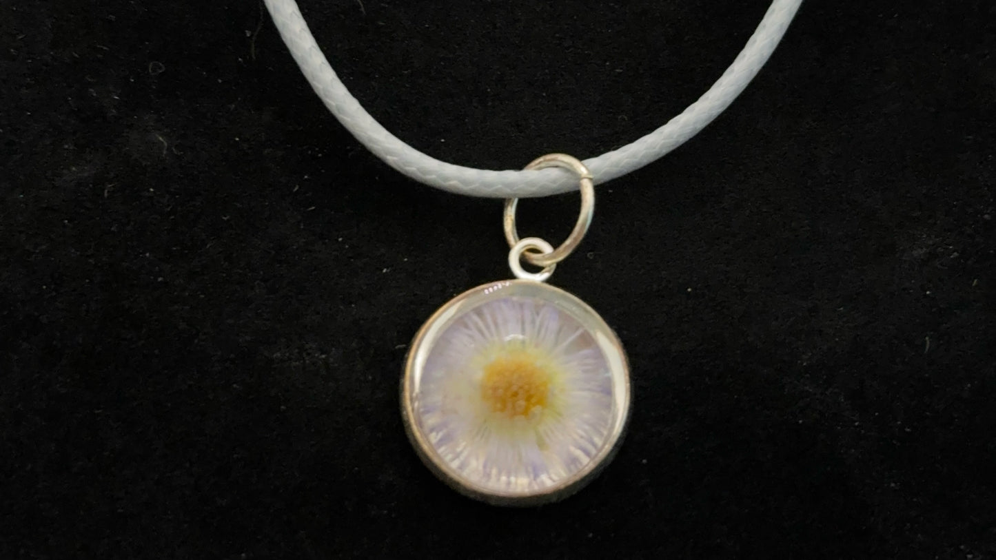Daisy Charm-2