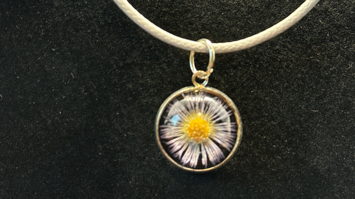 Daisy Charm-4