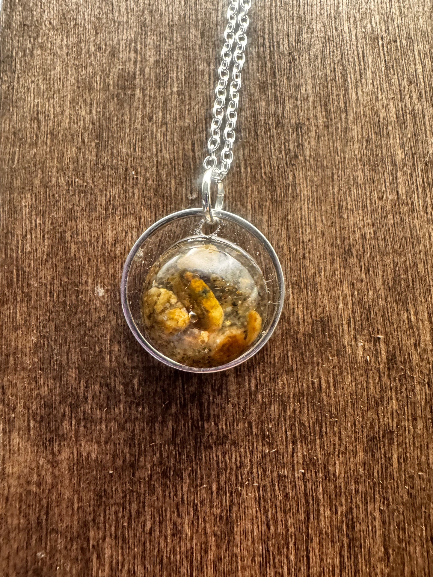 Missouri River Keepsake  Pendant