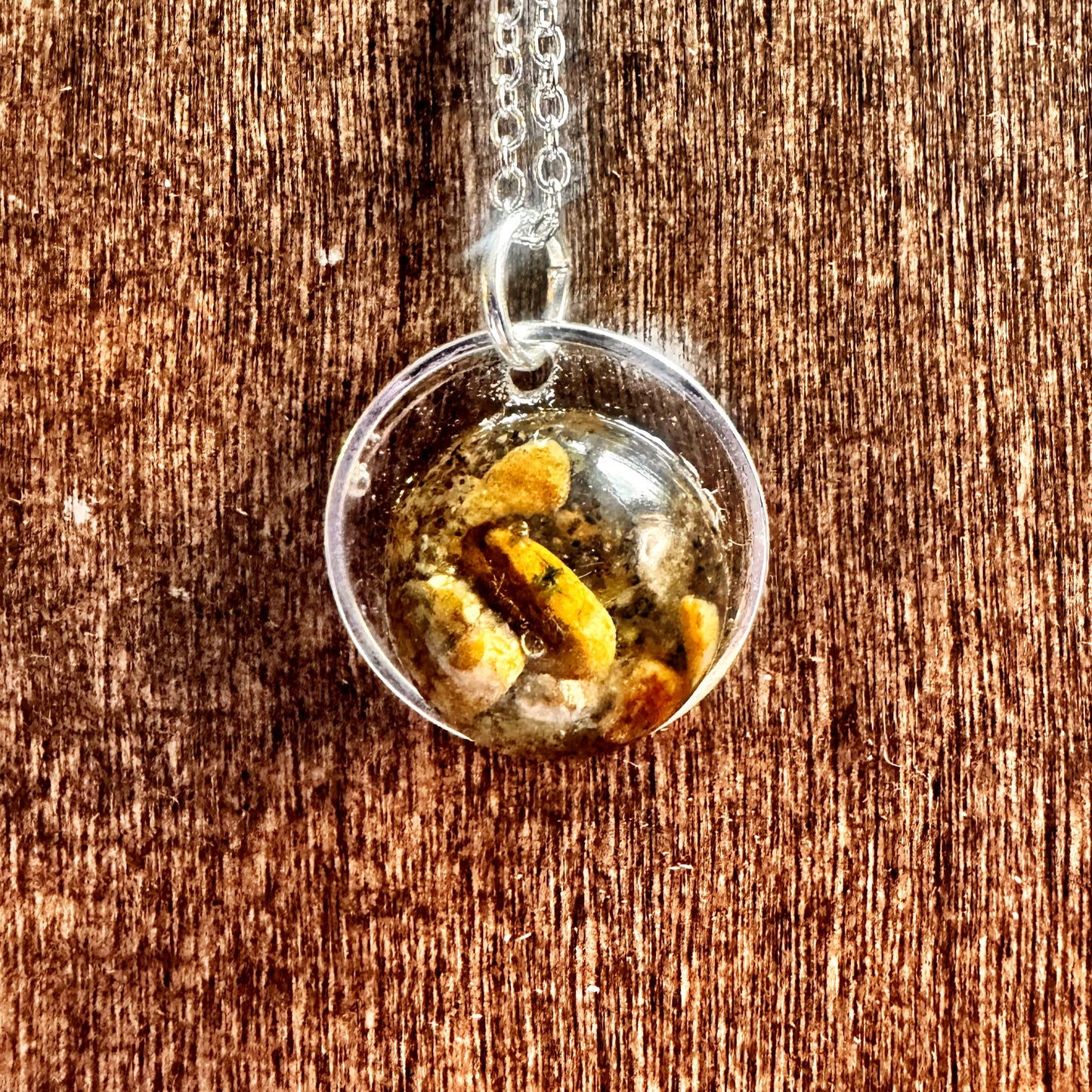 Missouri River Keepsake  Pendant