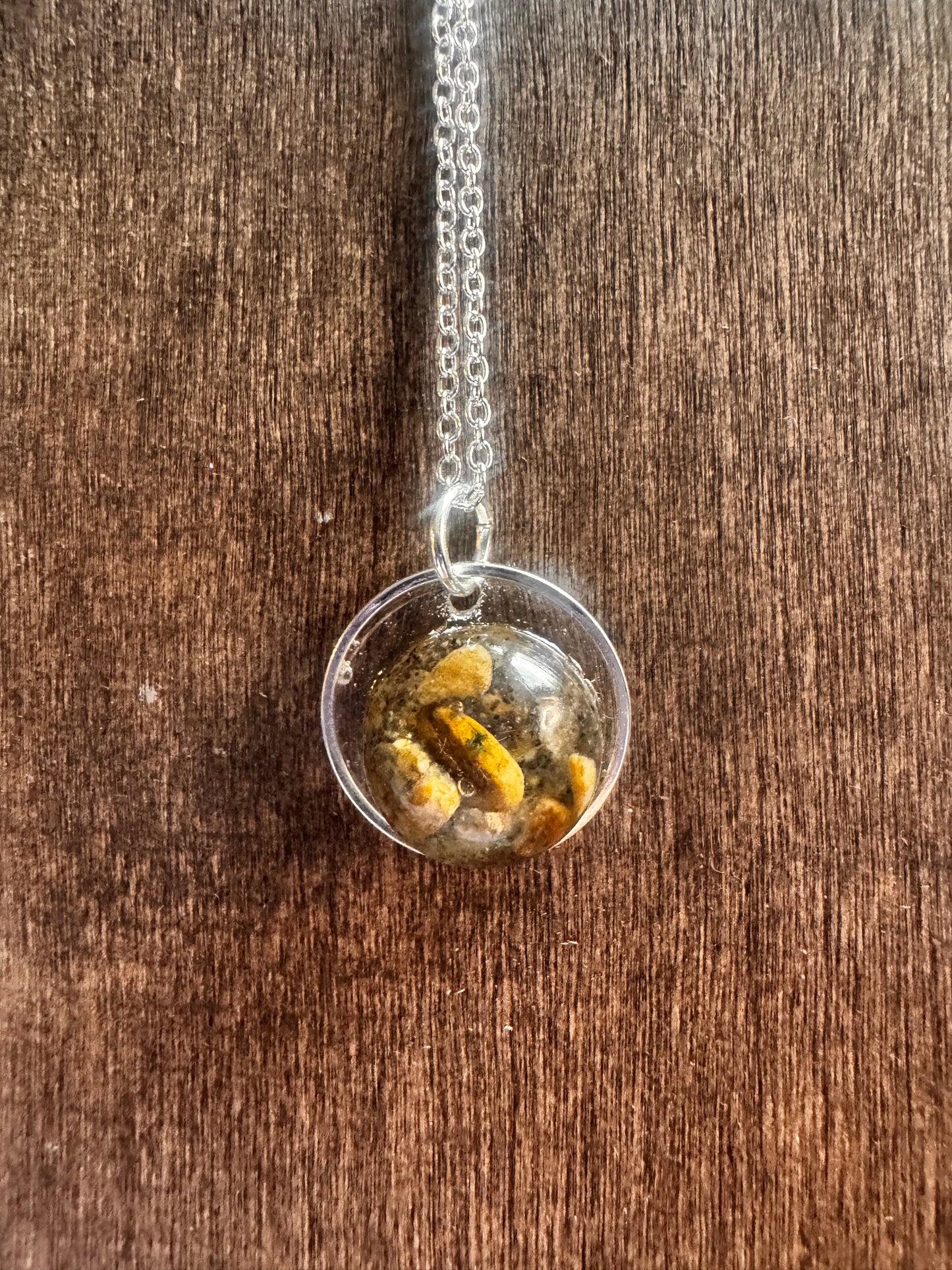 Missouri River Keepsake  Pendant