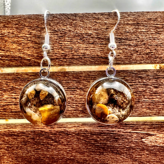 Missouri River Earrings