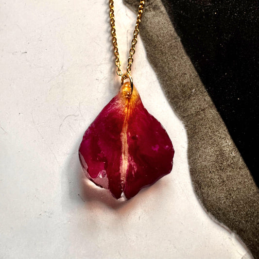 Eternal Rose Petal